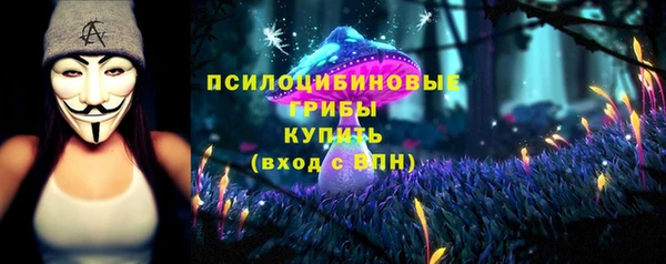 прущие крисы Алзамай