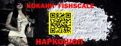 стаф Сланцы