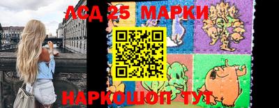 a pvp Славгород