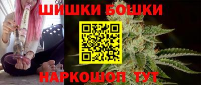 стаф Сланцы