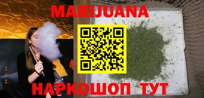 стаф Сланцы