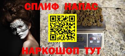 стаф Сланцы