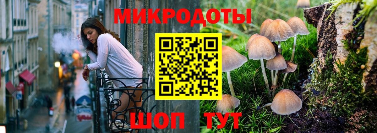 Псилоцибиновые грибы MAGIC MUSHROOMS  купить наркотик  Псилоцибиновые грибы Psilocybine cubensis  Саров  Вход с VPN 
