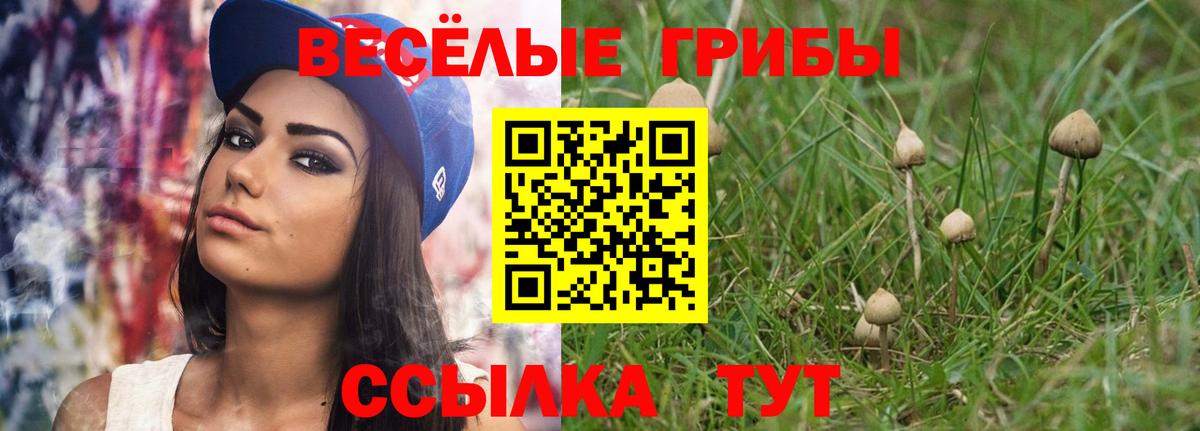 Псилоцибиновые грибы ЛСД Саров